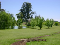 la criolla